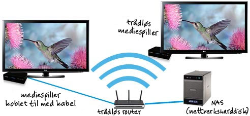 Nettverksmediespiller