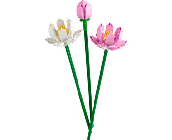 Lego Botanicals Lotusblomster 40647 4